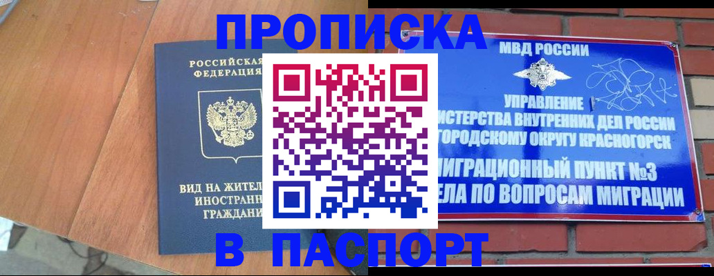 найти адрес прописки в Тайшете